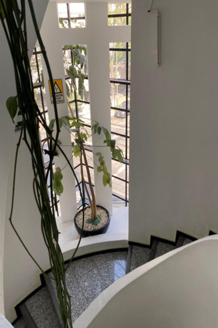 Flowsuites Polanco