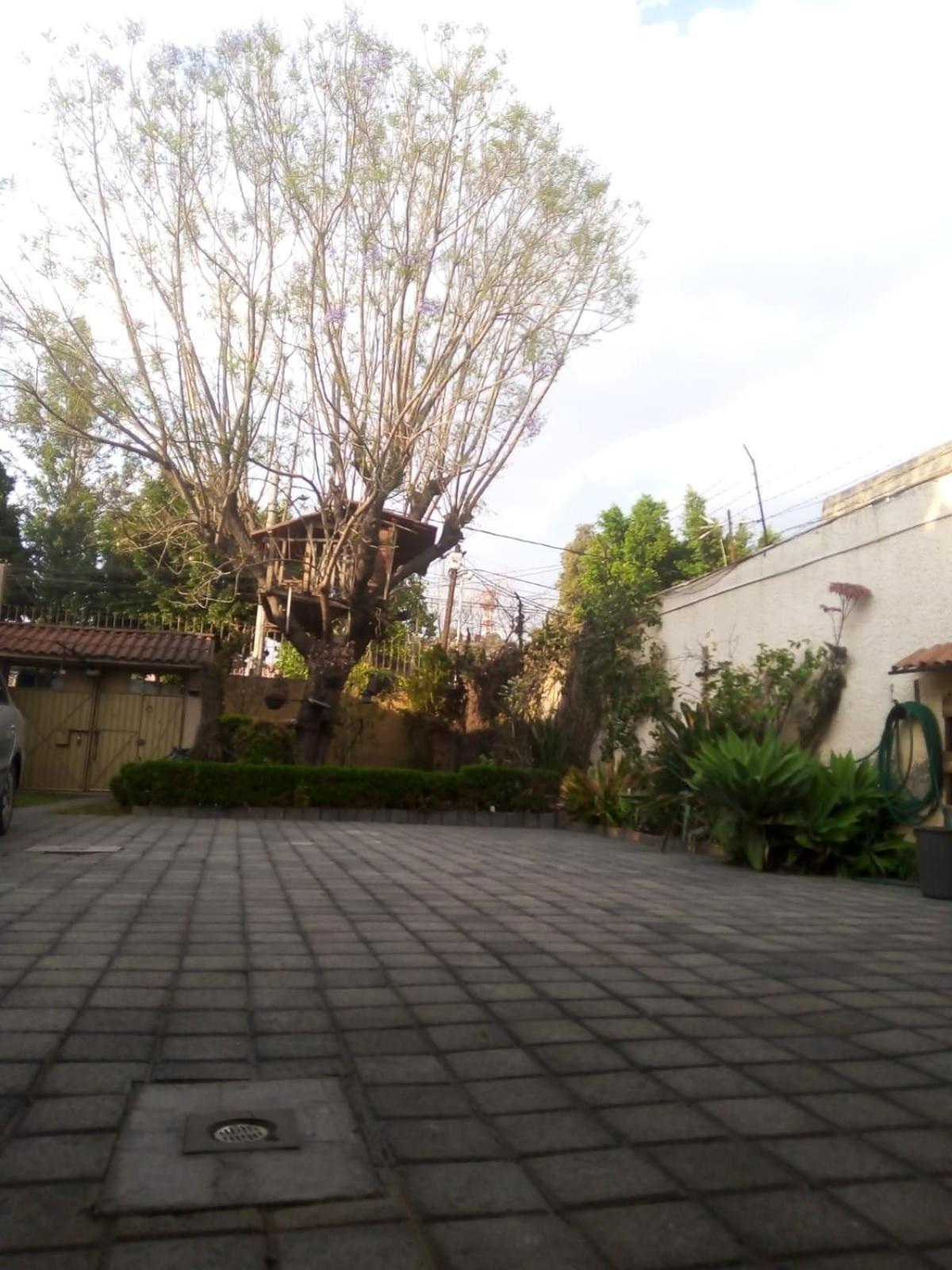 Casita Del árbol *