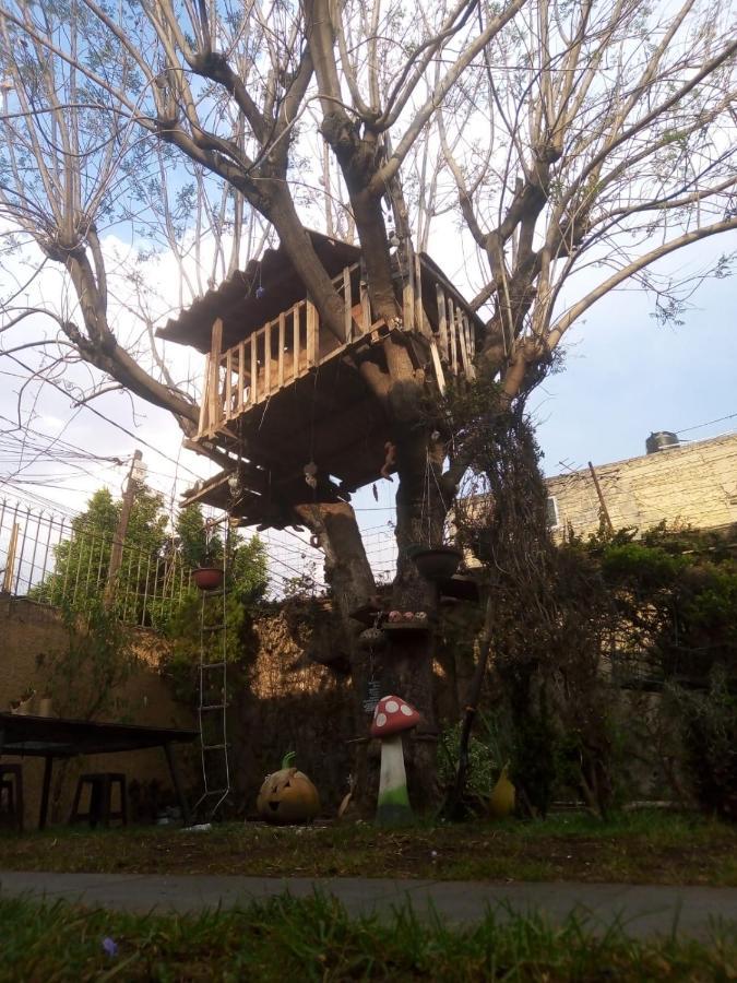 Habitación en casa particular Casita Del árbol
