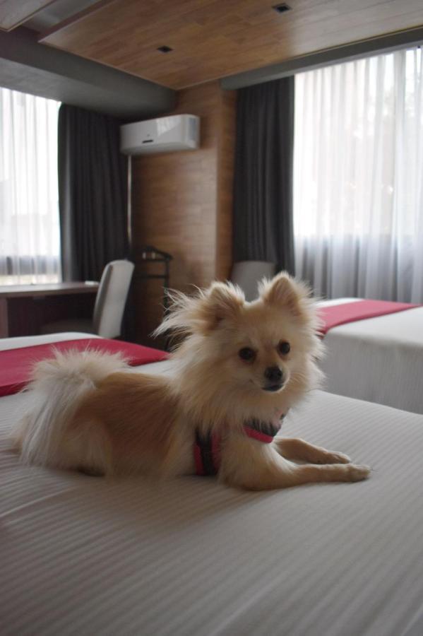 Park Nilo Reforma Hotel
