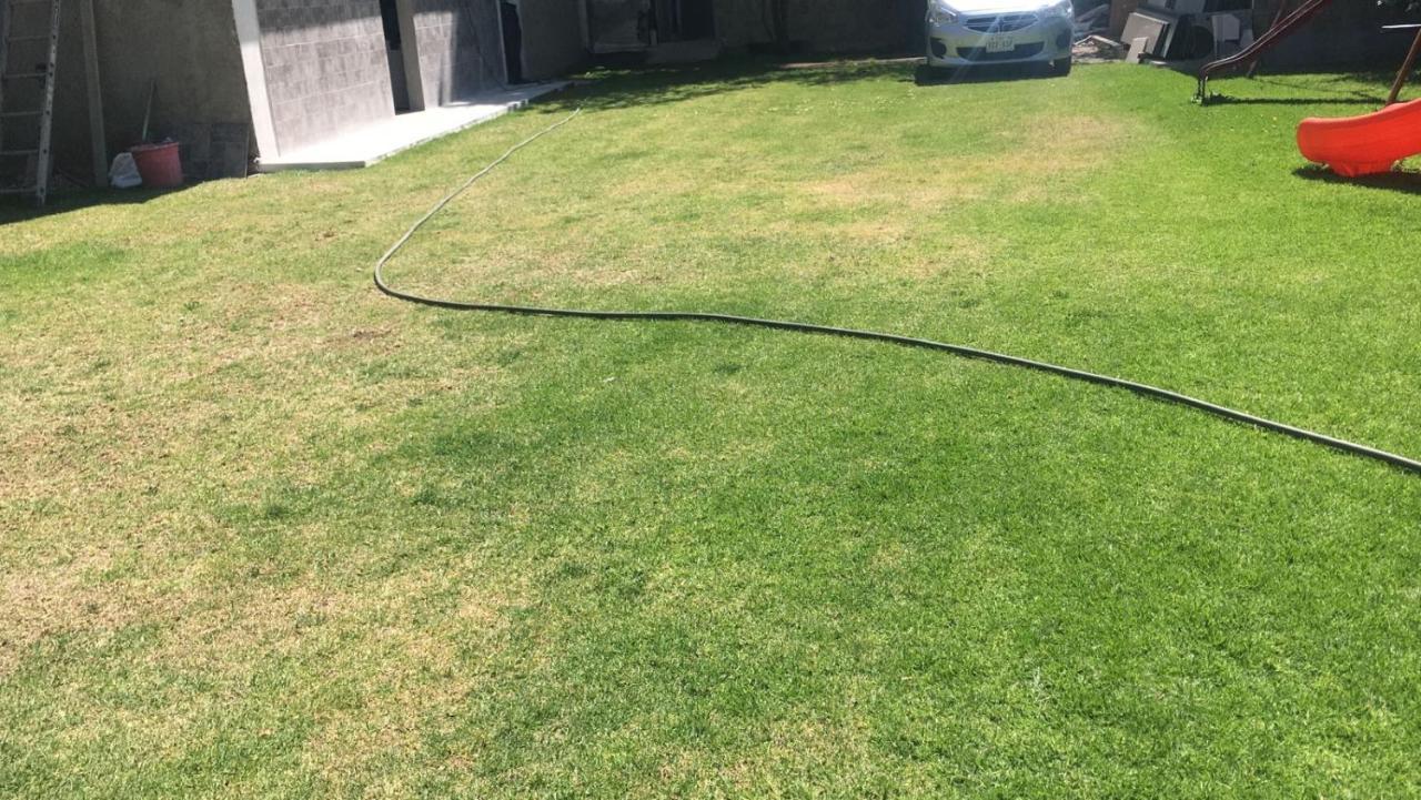 Apartamento Arte Y Cultura, Casa Polanco. México DF