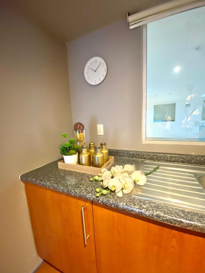 Lofts Taine Polanco *
