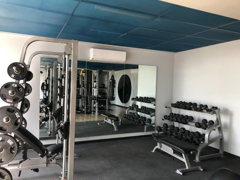 Apartamento Nuevo Y Lujoso Depto Con Amenidades Nuevo Polanco *