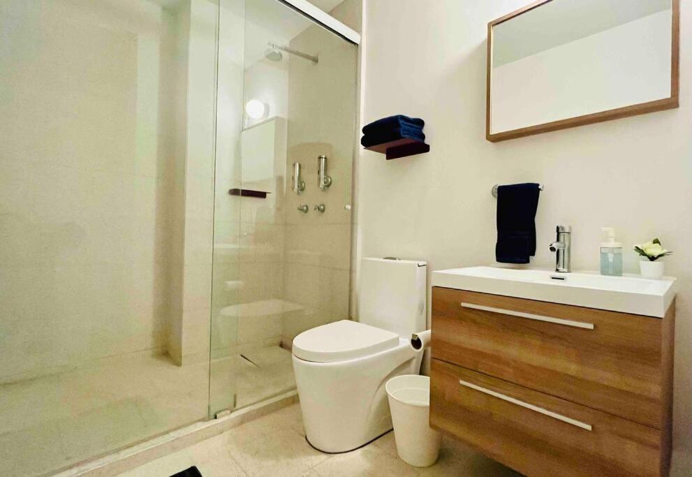 Apartamento D 111 Beautiful&confortable Loft Centro Cdmx *