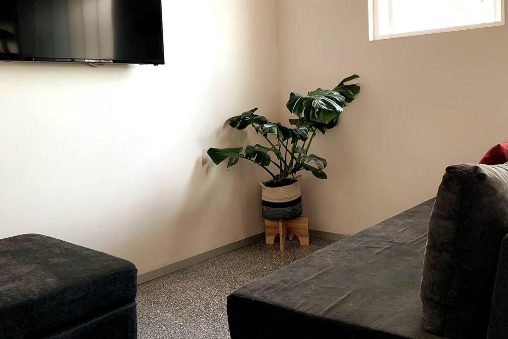 Apartamento 125 Donceles Terraza Privada Centro Historico Cdmx