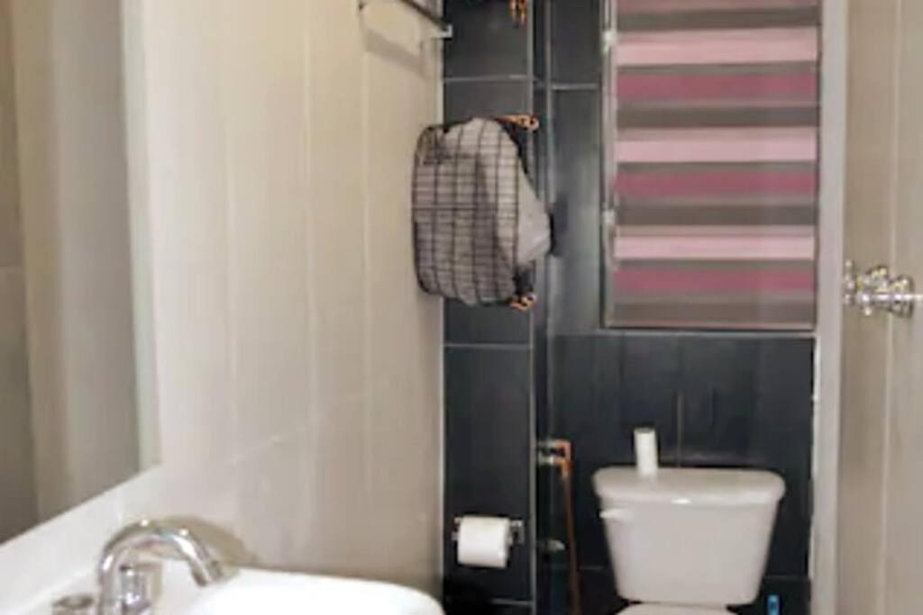 Reg Amplio Y Acogedor Depto Centro Histórico Cdmx Apartamento México DF