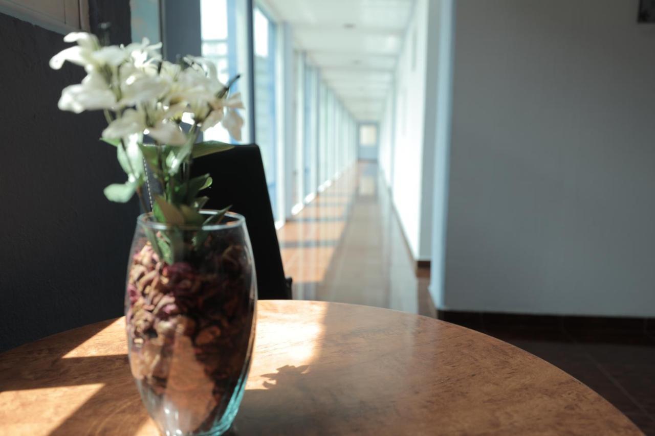 Hotel Plaza Delta 3*