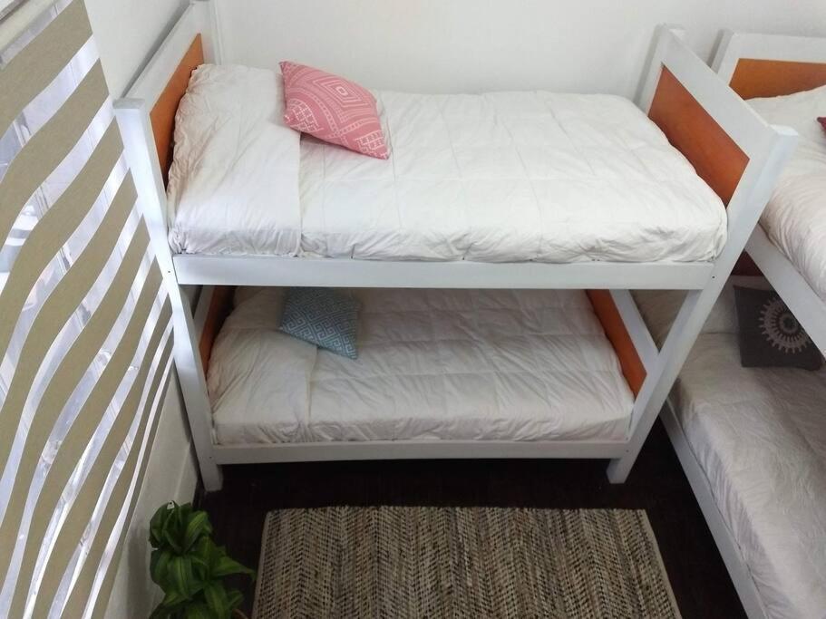 Apartamento Reg Amplio Y Acogedor Depto Centro Histórico Cdmx México DF