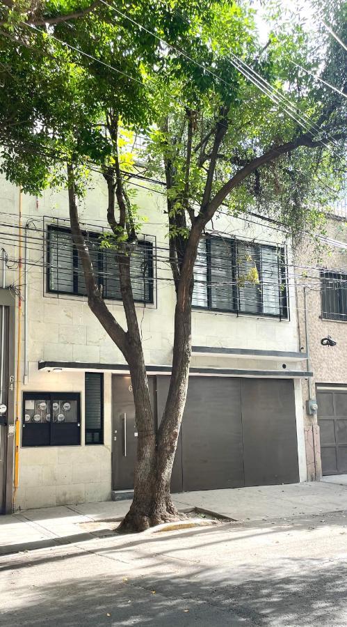 Condesa Lives * Cidade do México