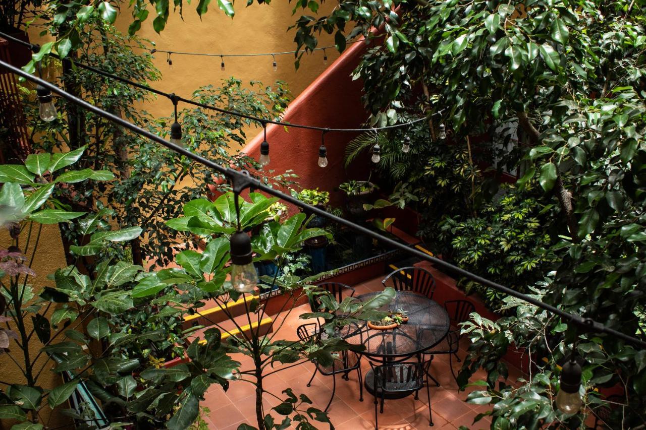The Red Tree House Bed and breakfast