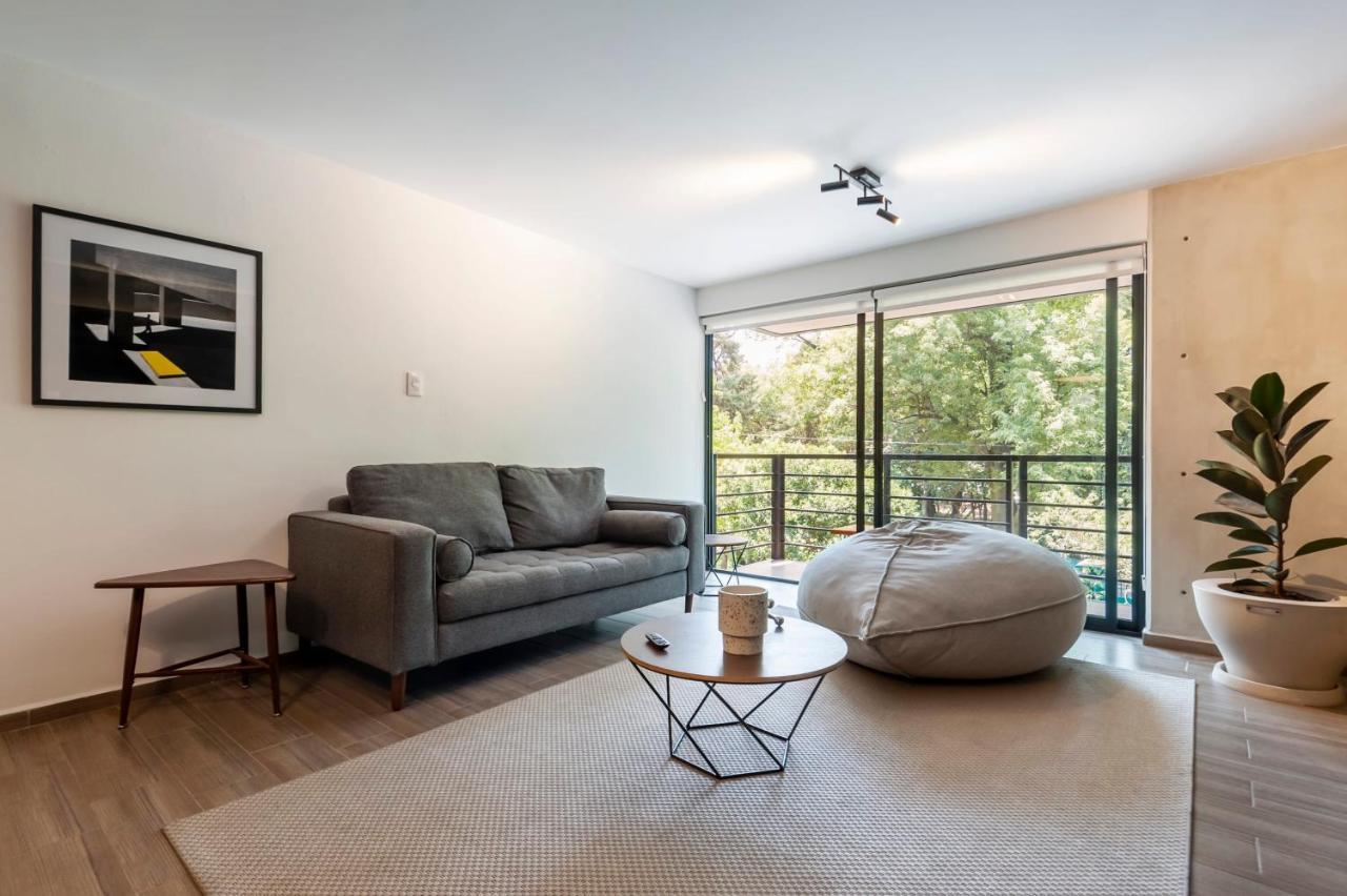 Amazing 2br In Parque Espana Apartment Mexico City