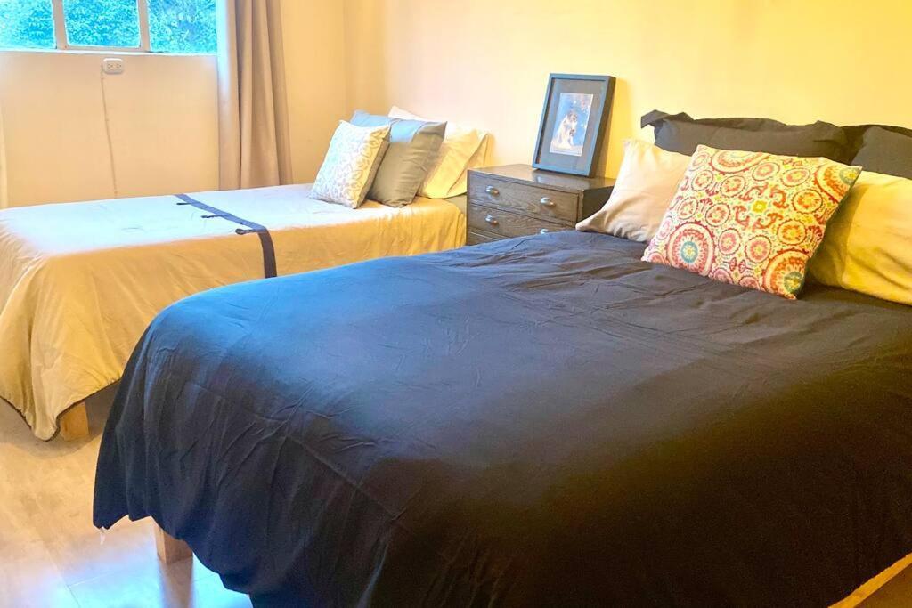 Apartamento Amazing Cozy In Condesa *