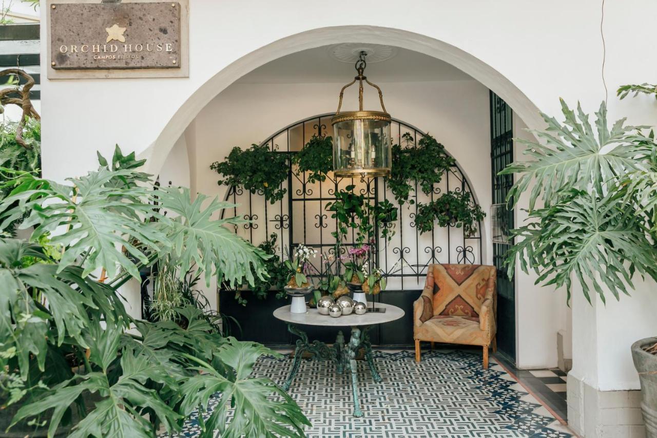 Orchid House Polanco 5*