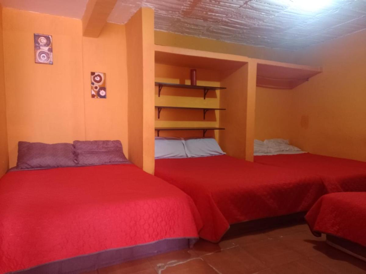 Guest house Alo