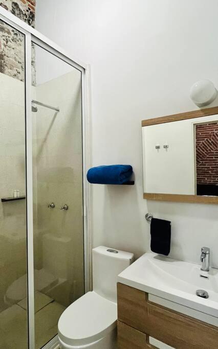 106 Hermoso Depto Centro Histórico Cdmx, 1* Piso