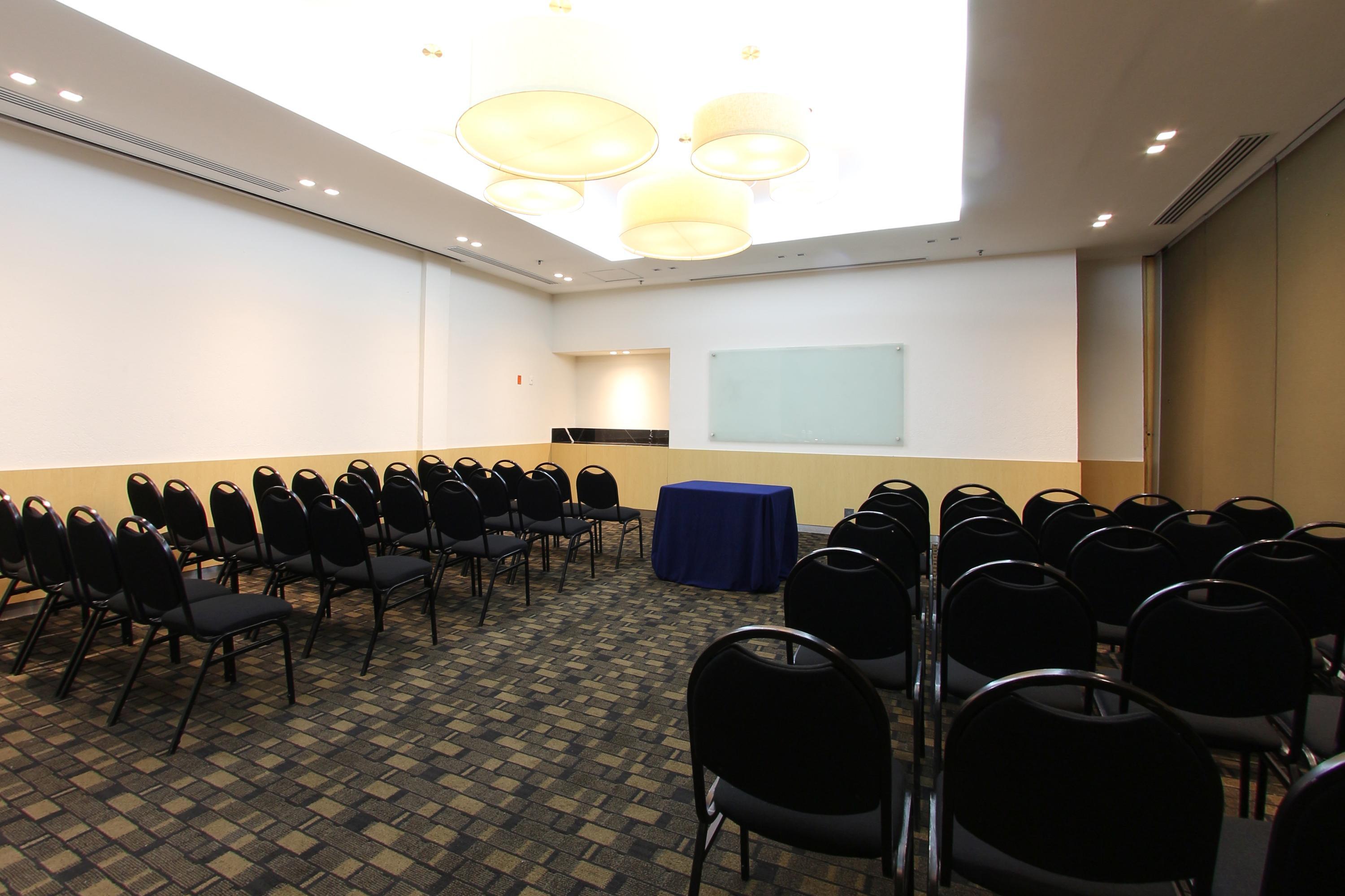 Fiesta Insurgentes Viaducto 4*