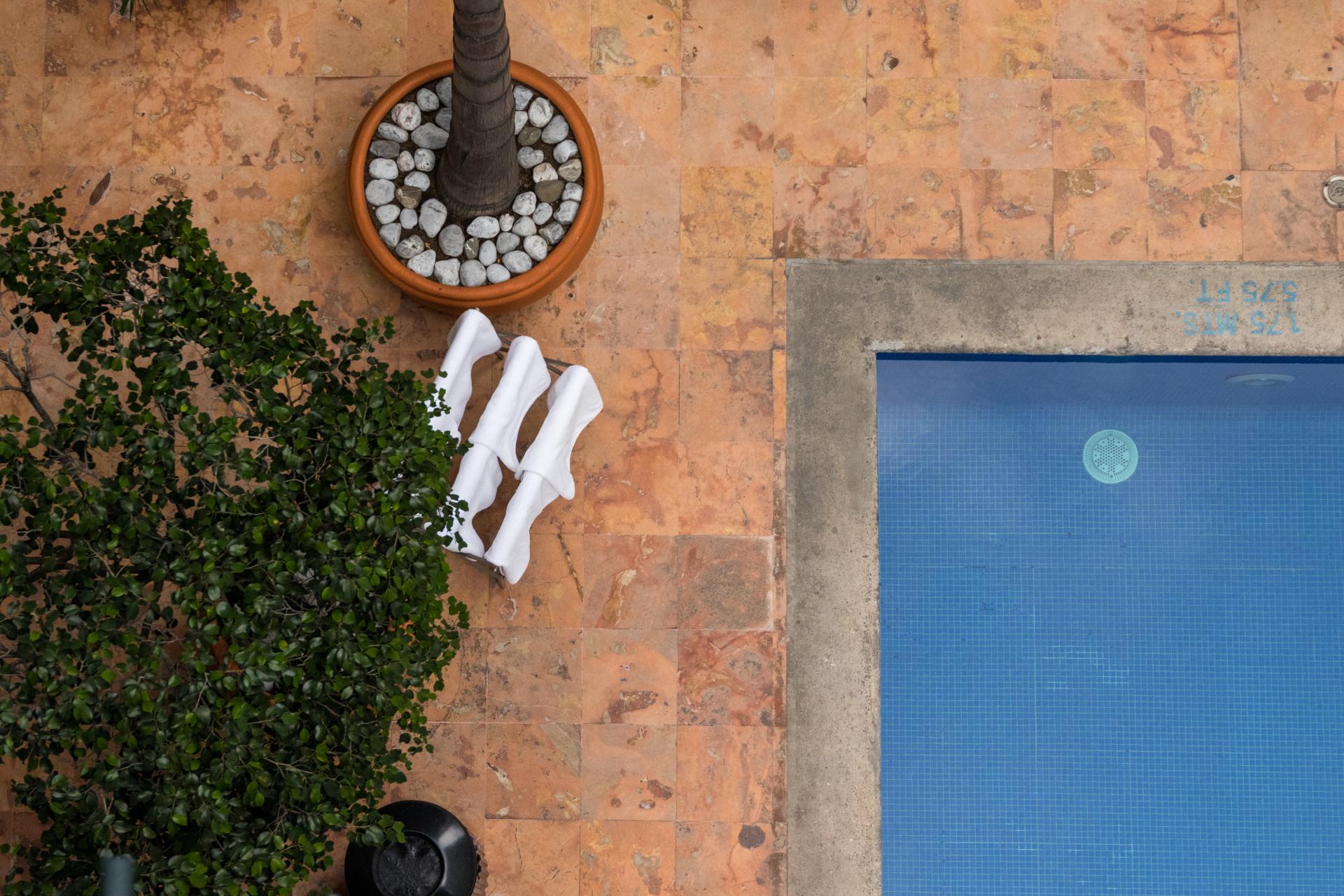 Dominion Polanco Hotel