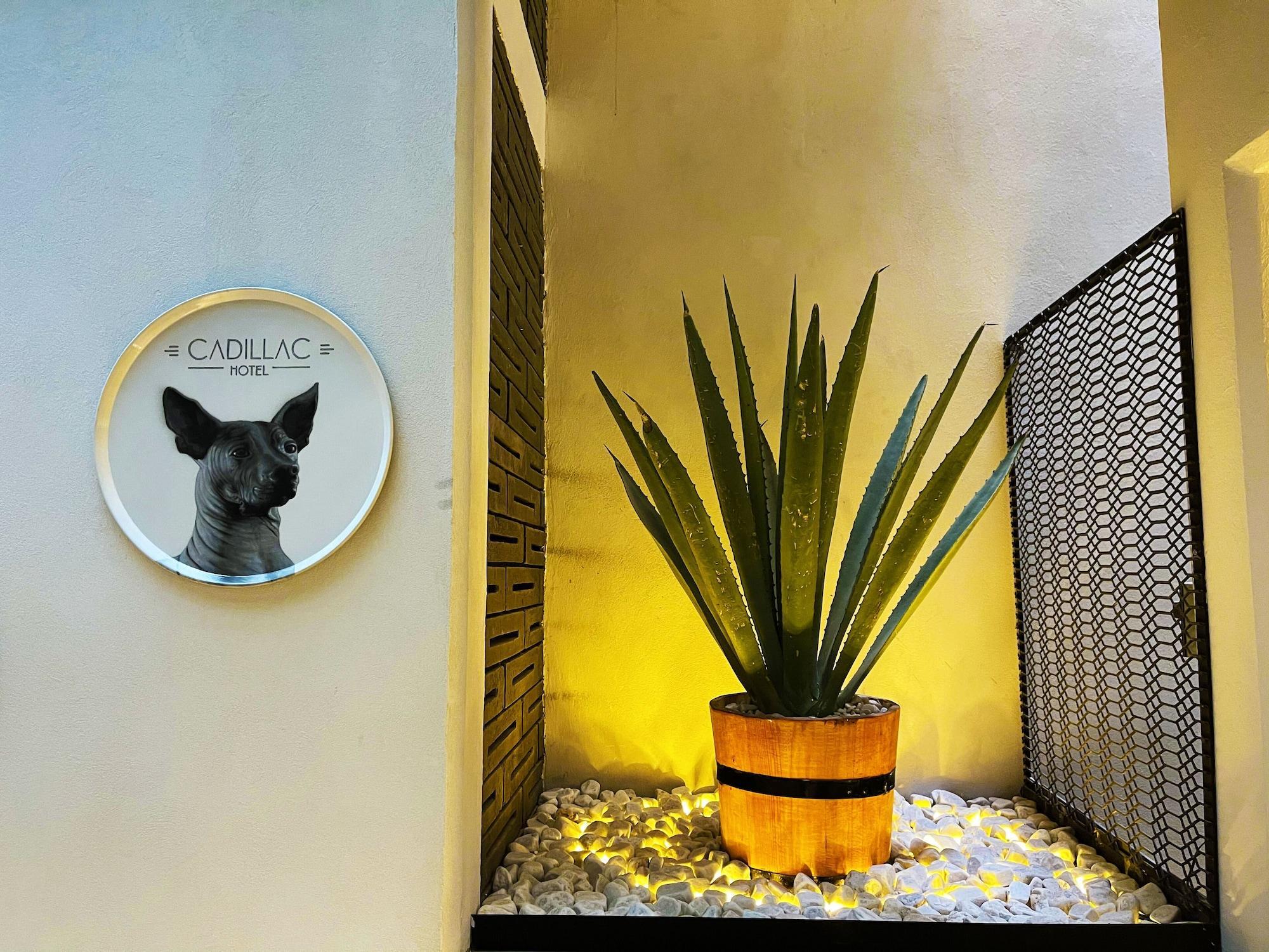 Cadillac Boutique Cidade do México