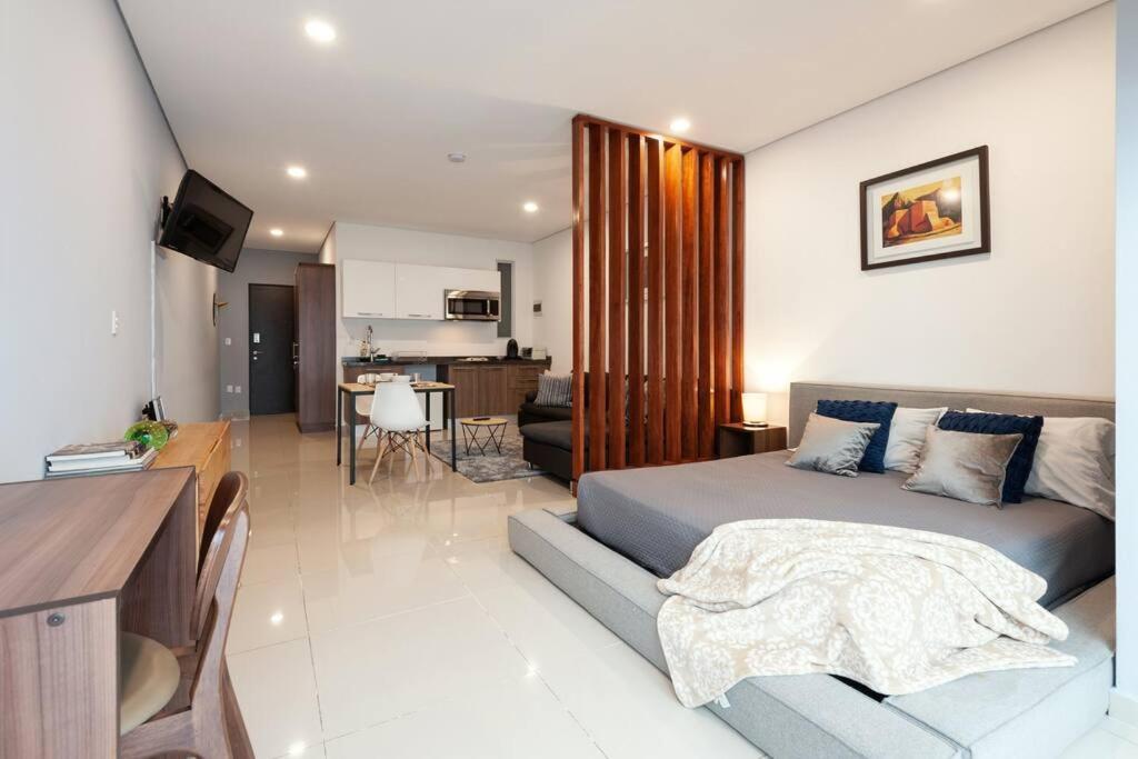 Chic Loft! 150 Bps Fiber Optic Internet Mexico City