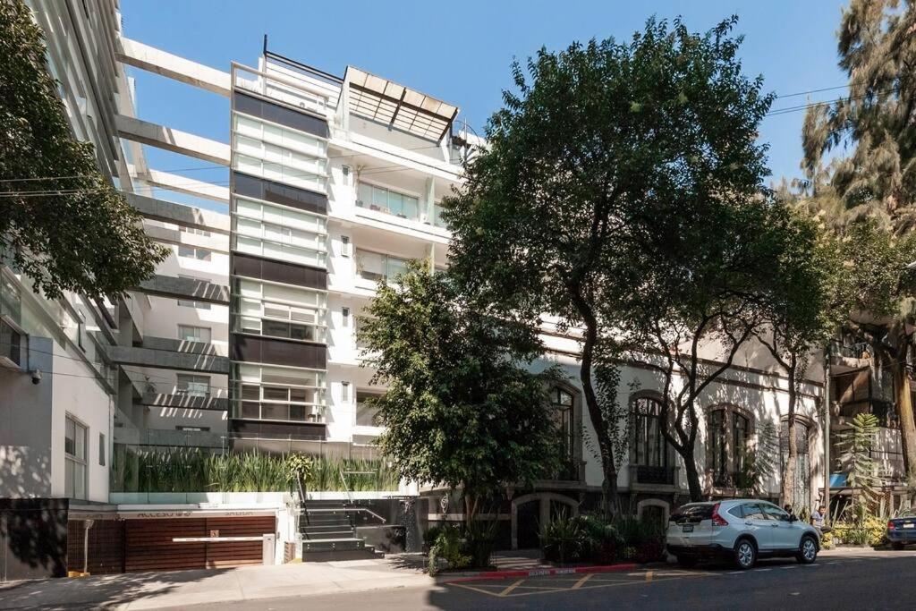 Beautiful Loft. King Size Bed. 150 Mbps Internet. Mexico City