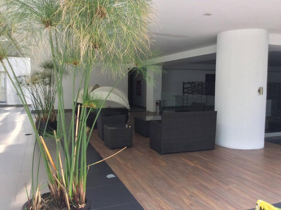 Apartment Beautiful Loft. King Size Bed. 150 Mbps Internet. Mexico City