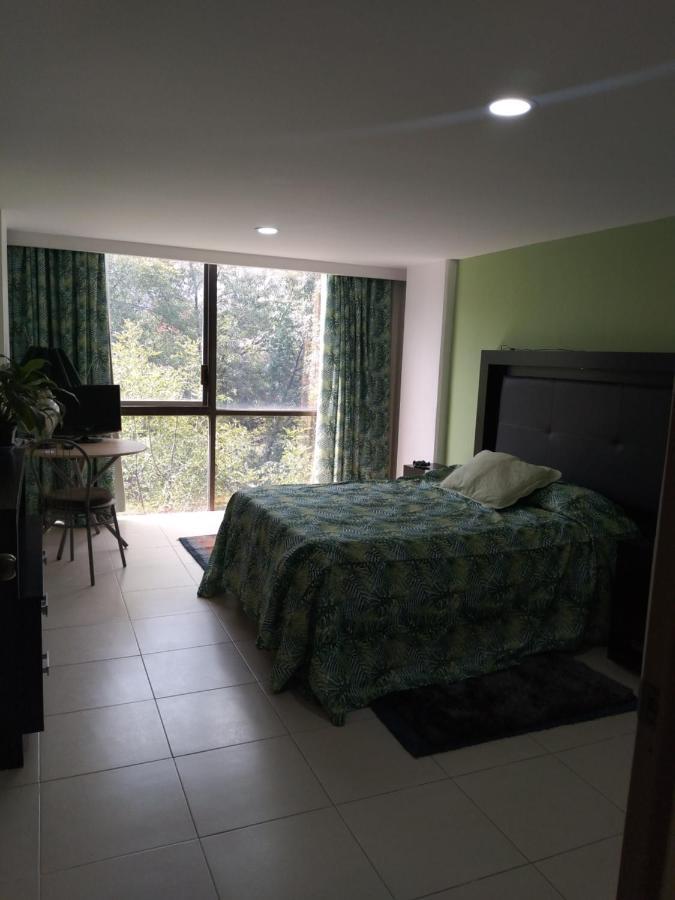 Homestay Charming Sunny Bedroom Overlooking Beautiful Amsterdam Avenue In Condesa Area *