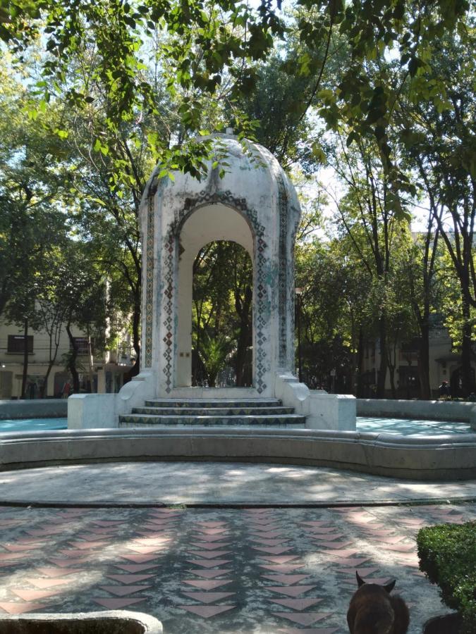 Homestay Charming Sunny Bedroom Overlooking Beautiful Amsterdam Avenue In Condesa Area