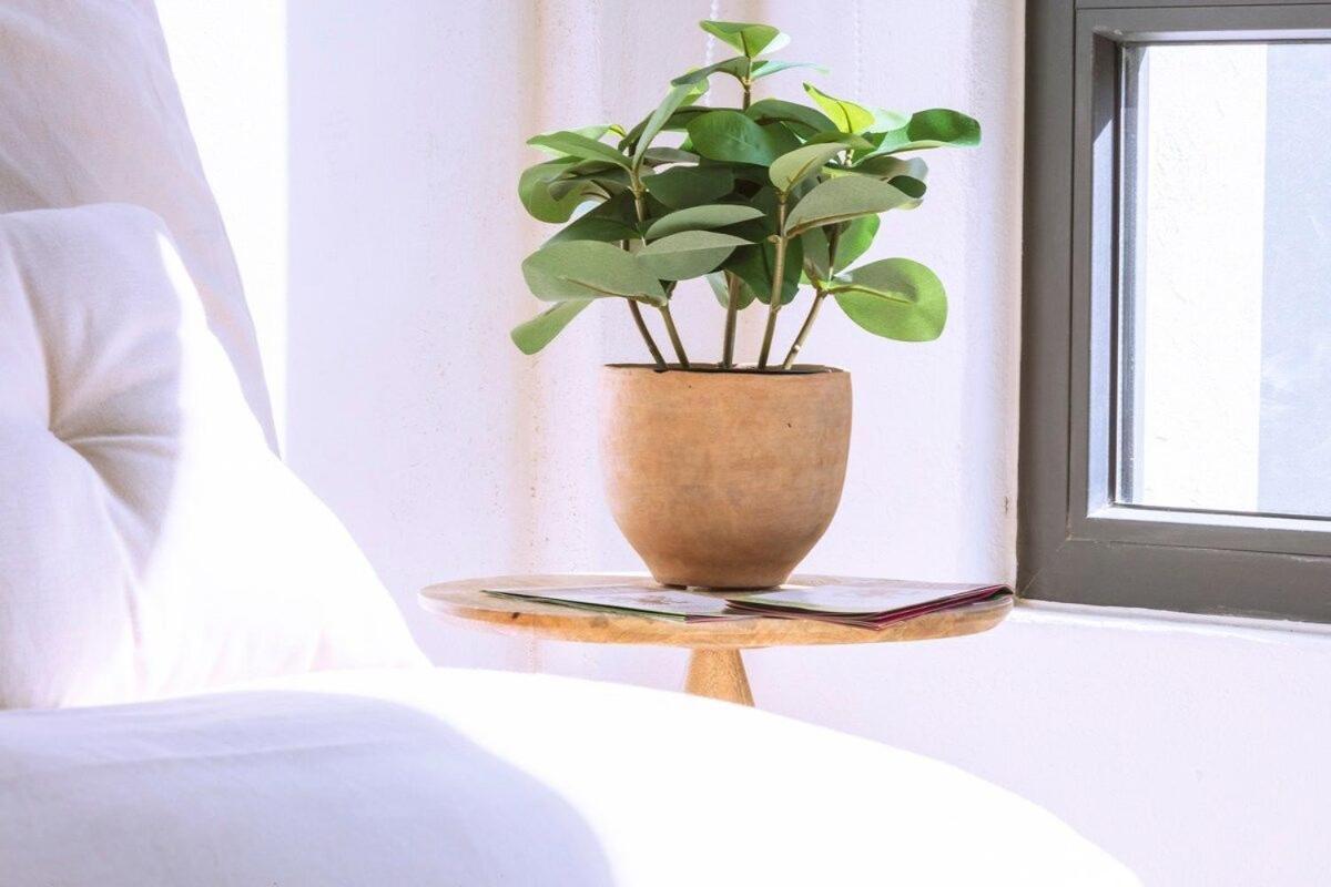 Exclusivo Loft A Pasos Del Zocalo No Lo Pierdas Apartamento Cidade do México