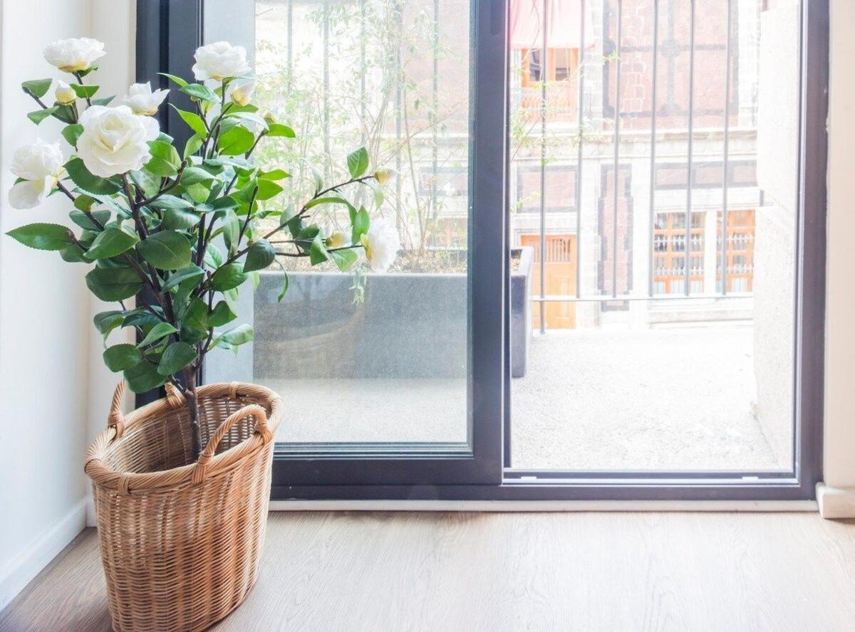 Apartamento Muuuy Mexicano A 2 Cuadras Del Zócalo México DF