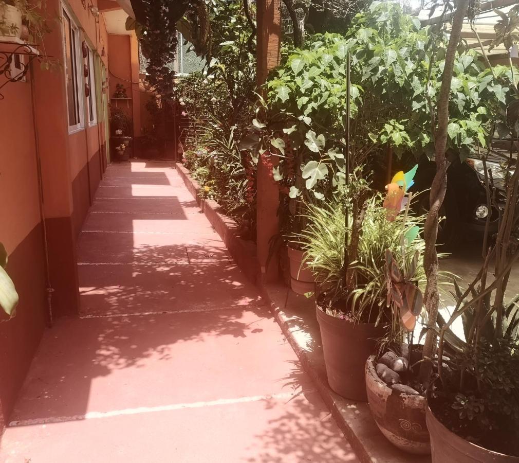 Apartamento Depa 1 Habitación Equipado Coyoacan