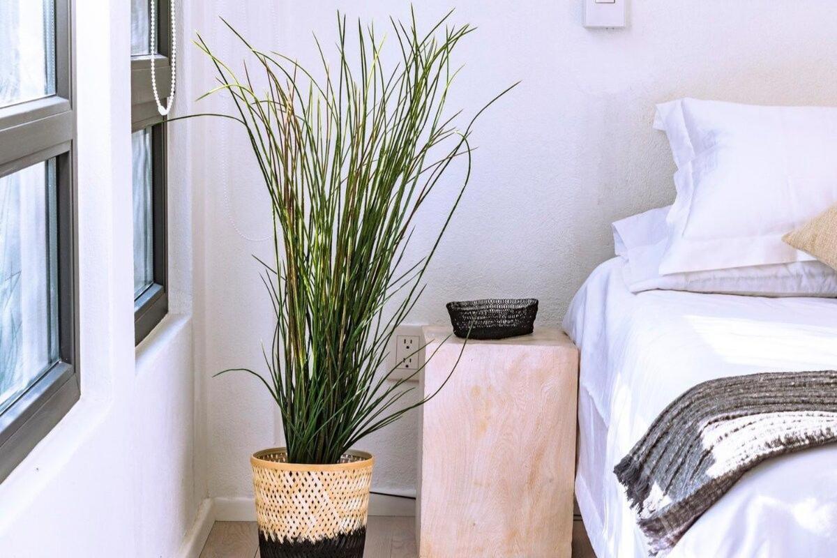 Exclusivo Loft A Pasos Del Zocalo No Lo Pierdas Apartamento *