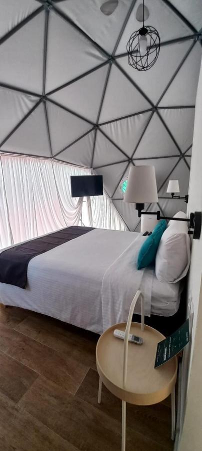 Anzures Black House 3*