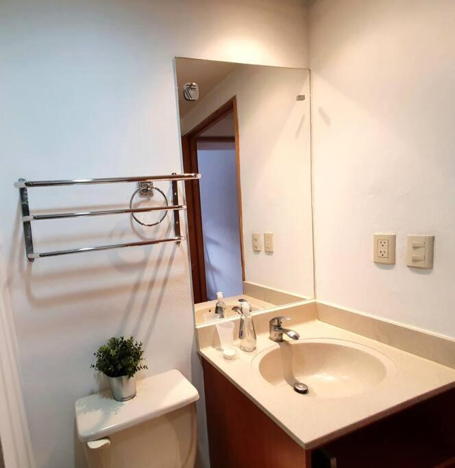 Apartamento Hermoso Depto C/alberca Y Gym Polanco México DF