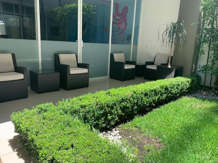 Apartamento Hermoso Depto C/alberca Y Gym Polanco México DF