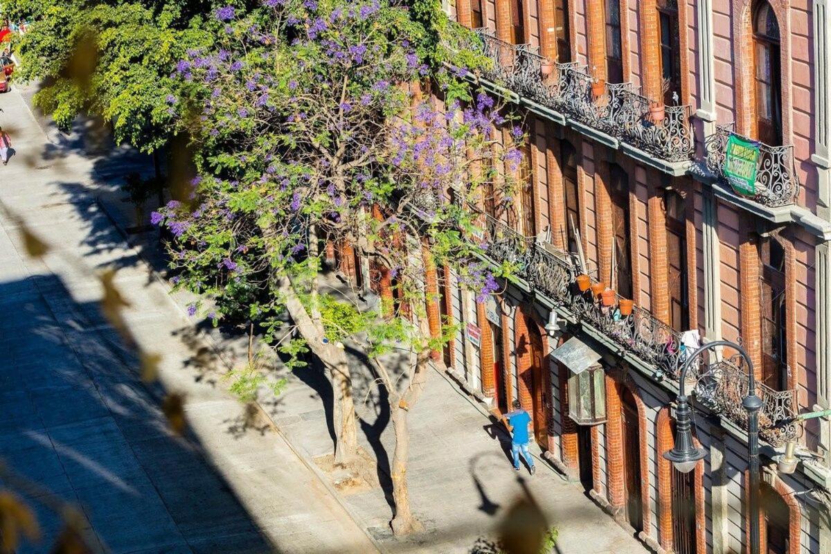 Supermoderno En Pleno Centro Historico Apartment Mexico City