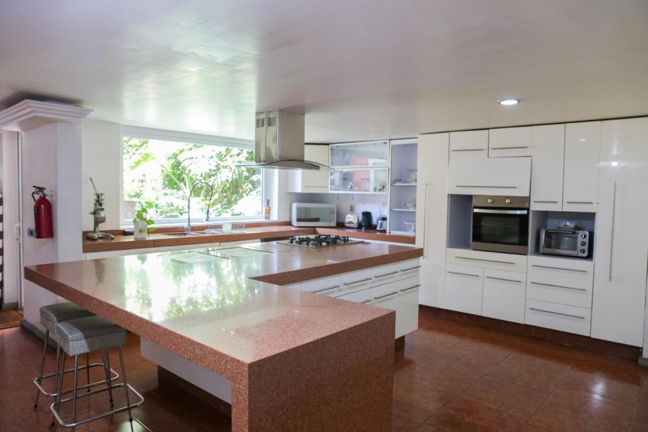 Сasa de vacaciones Pug Seal Coyoacan México DF