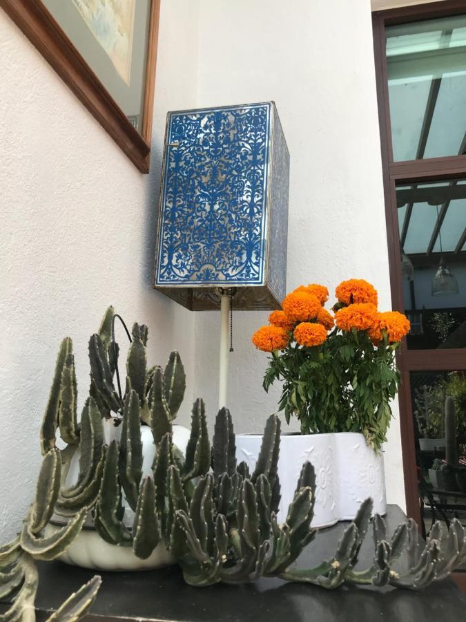 Coyoacan Pensión *