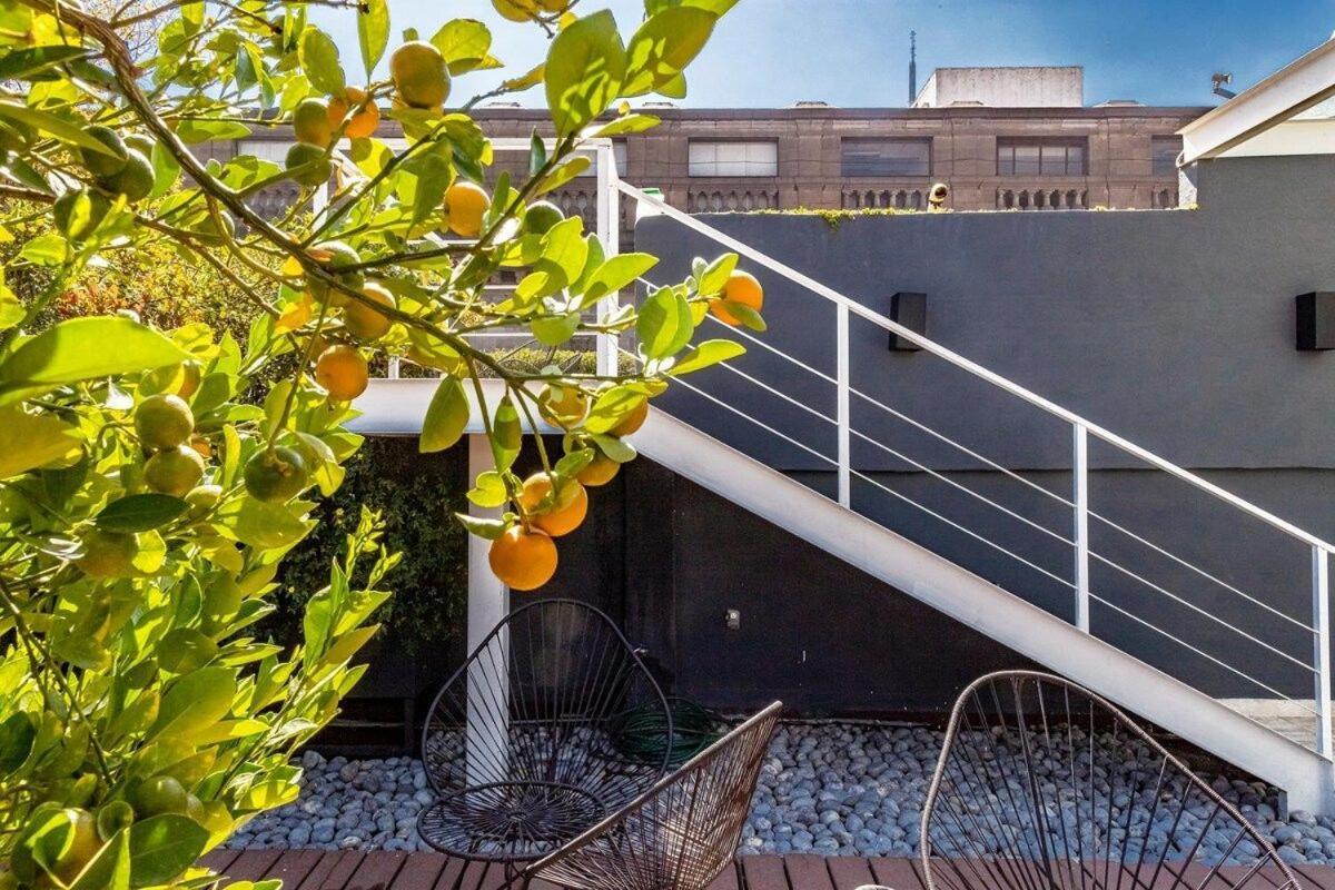 Loft Boho En El Centro Historico Imperdible Apartment