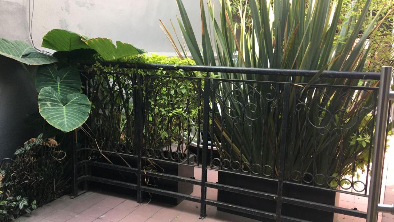 Arte Y Cultura, Casa Polanco. Apartamento
