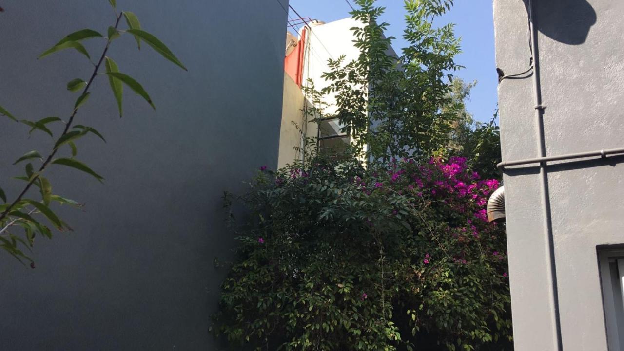 Arte Y Cultura, Casa Polanco. * México DF