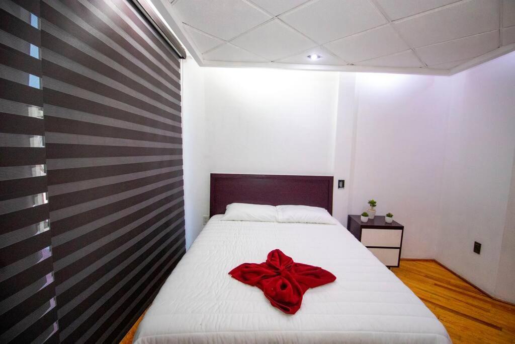 ¡nuevo! Bamboo Celebrity Holiday home