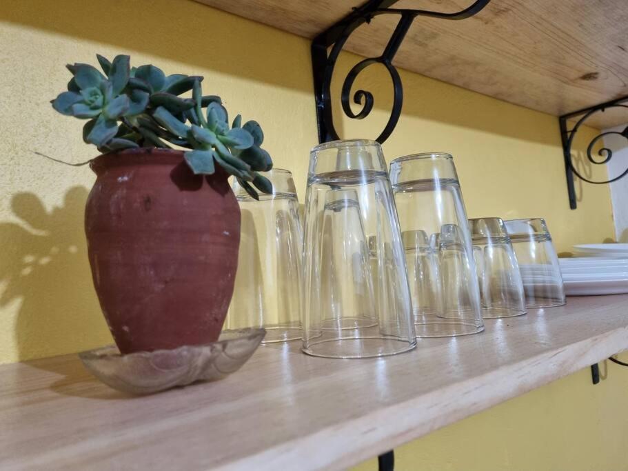 Сasa de vacaciones Casa Aba Linda Casa En El Centro De Coyoacan. *