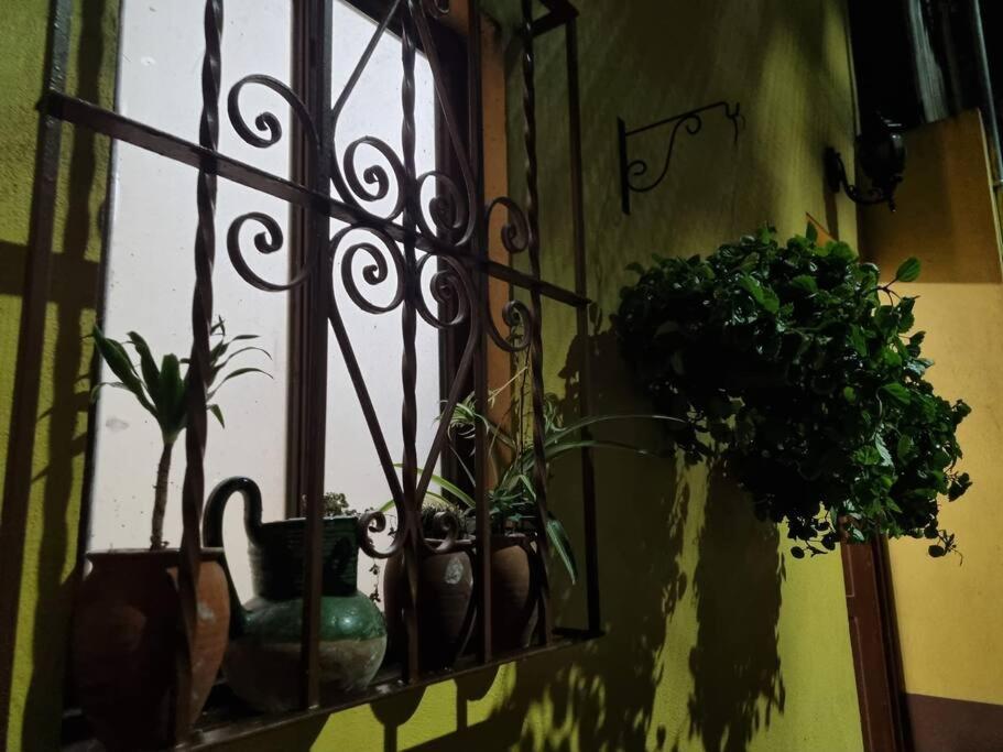 Casa Aba Linda Casa En El Centro De Coyoacan. Сasa de vacaciones *