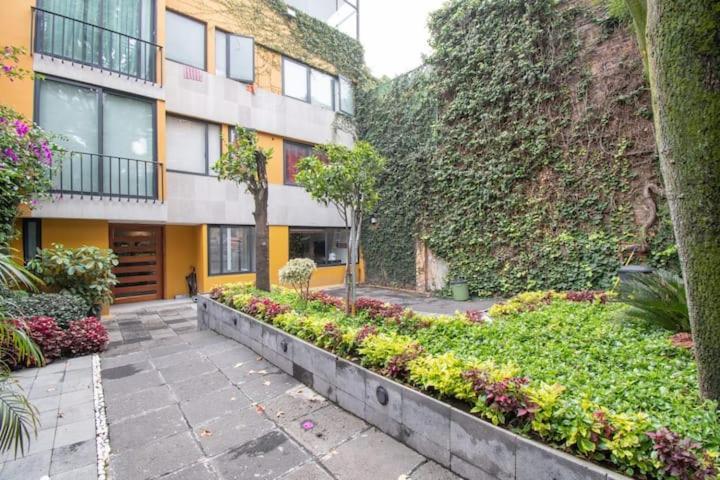 Terraza & Loft San Angel Habitación en casa particular México DF