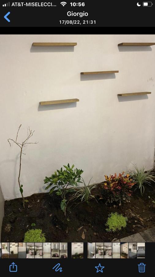 Apartamento Almendra