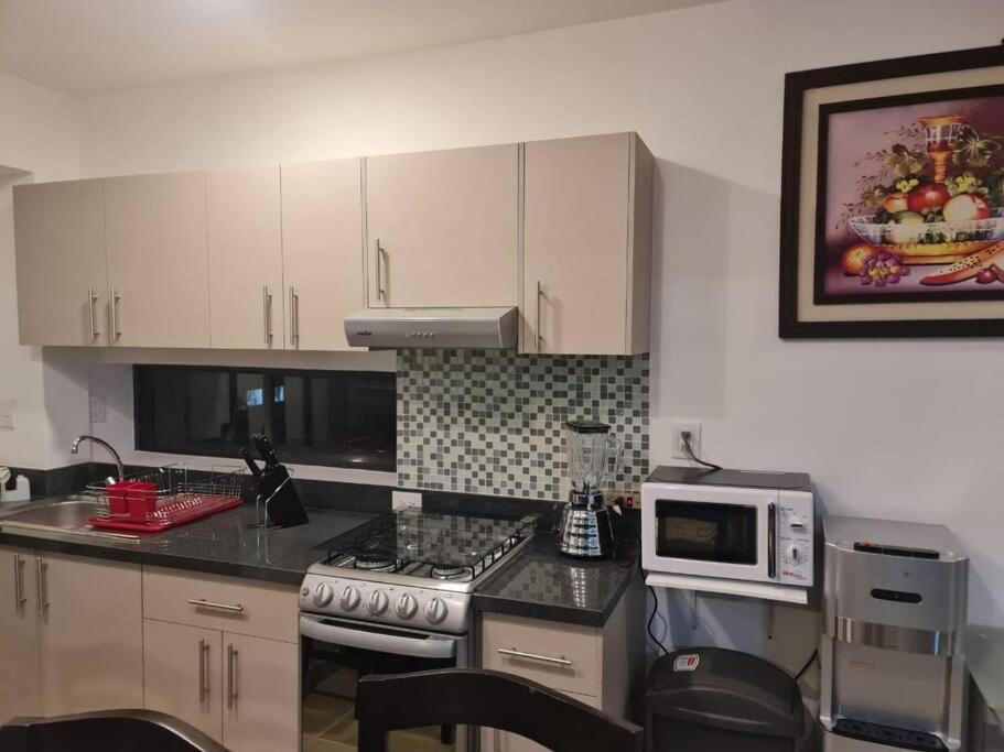 Apartamento Se Renta Por Dia Departamento En El Centro