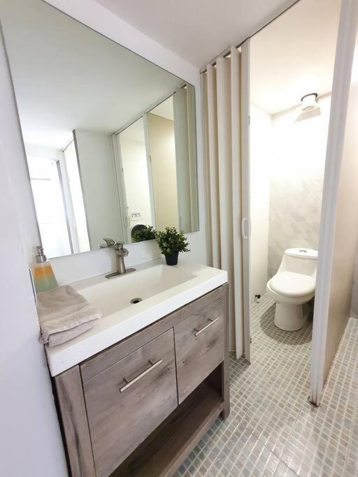 Hostal Privada C/ Terraza &escritorio Polanco.