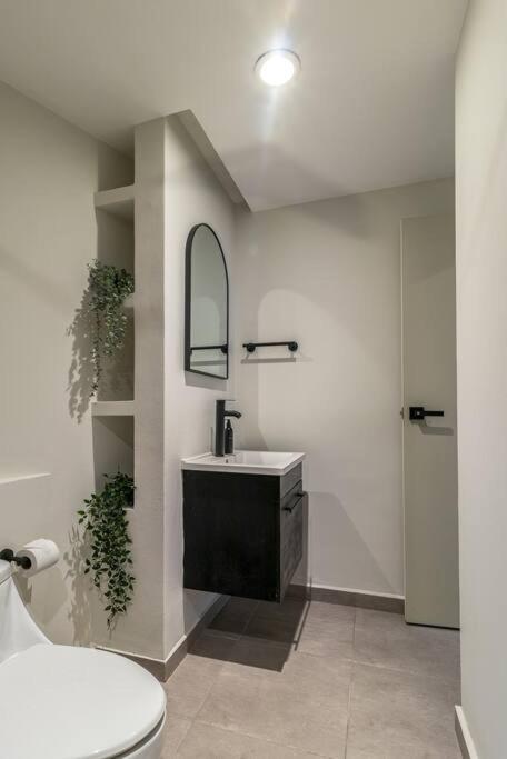 ¡hermoso Departamento En El Corazon De Roma Norte! Apartamento México DF