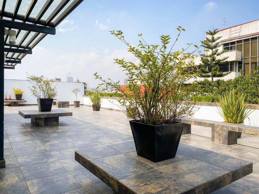 Departamento En La Condesa Roma Ciudad De Apartamento
