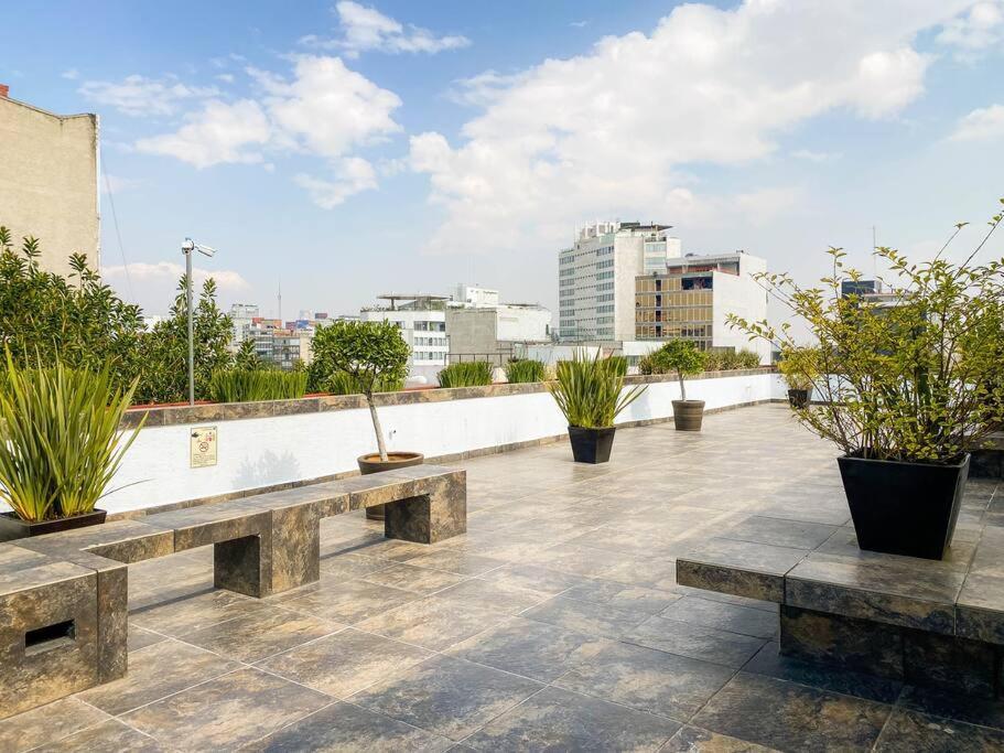 Departamento En La Condesa Roma Ciudad De Apartment *